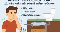 be-phot-bao-lau-hut-1-lan-dau-hieu-nhan-biet-som-de-tranh-boc-mui5