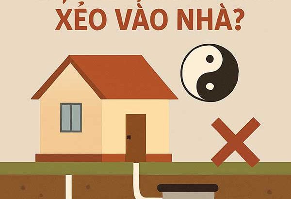 be-phot-theo-phong-thuy-dat-sai-ruoc-xui-xeo-vao-nha5