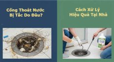 Cống Thoát Nước Bị Tắc Do Đâu? Cách Xử Lý Hiệu Quả Tại Nhà